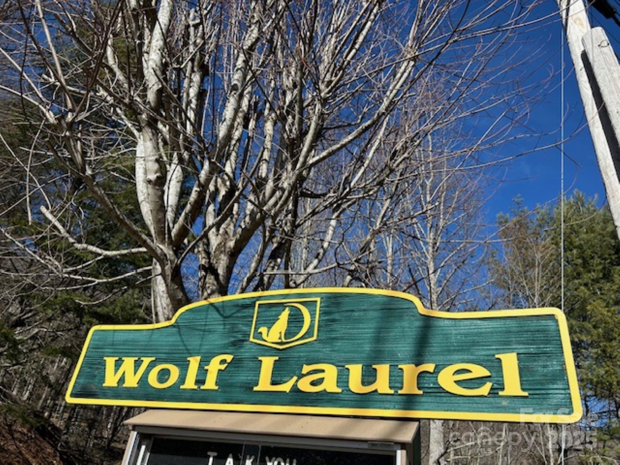 Wolf Laurel Heights - Land