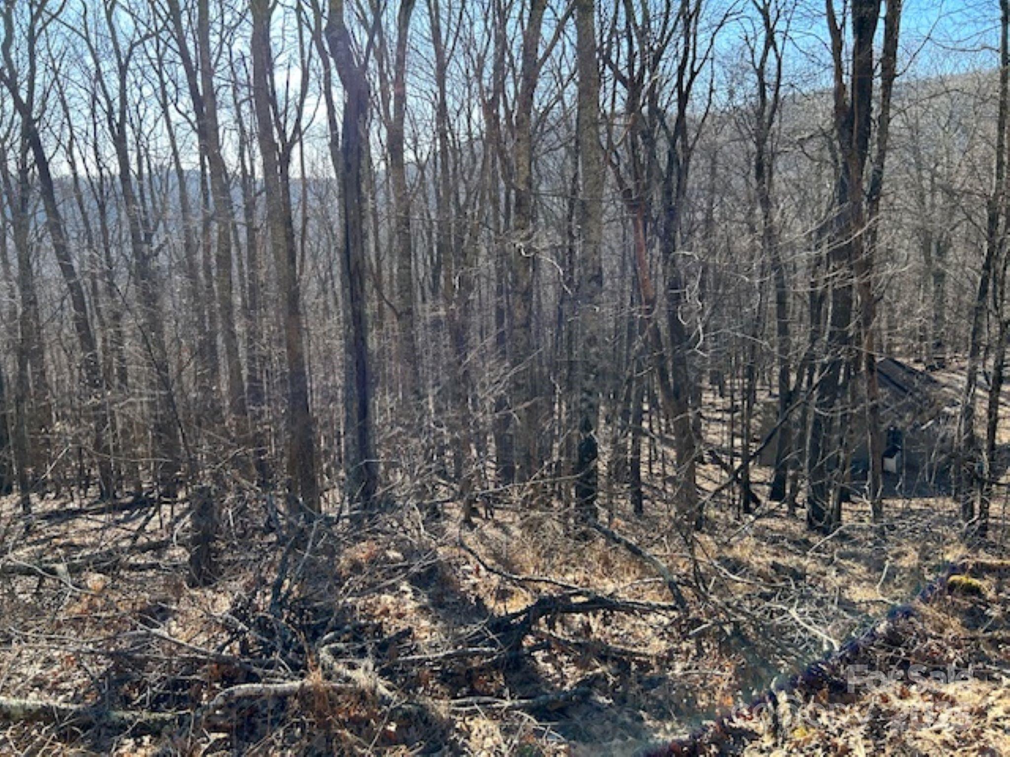 Wolf Laurel Heights - Land