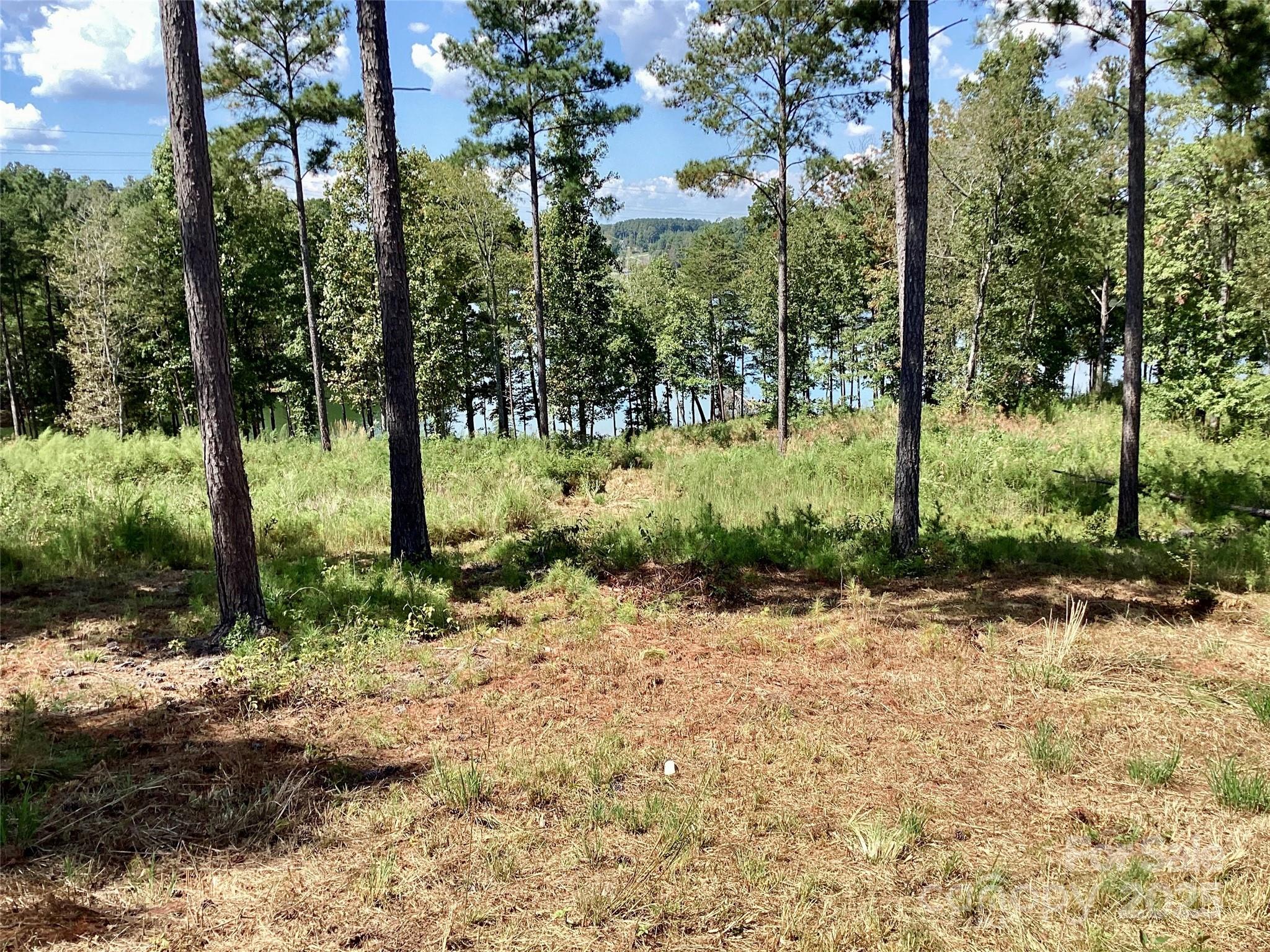 3067 Jumping Run 103