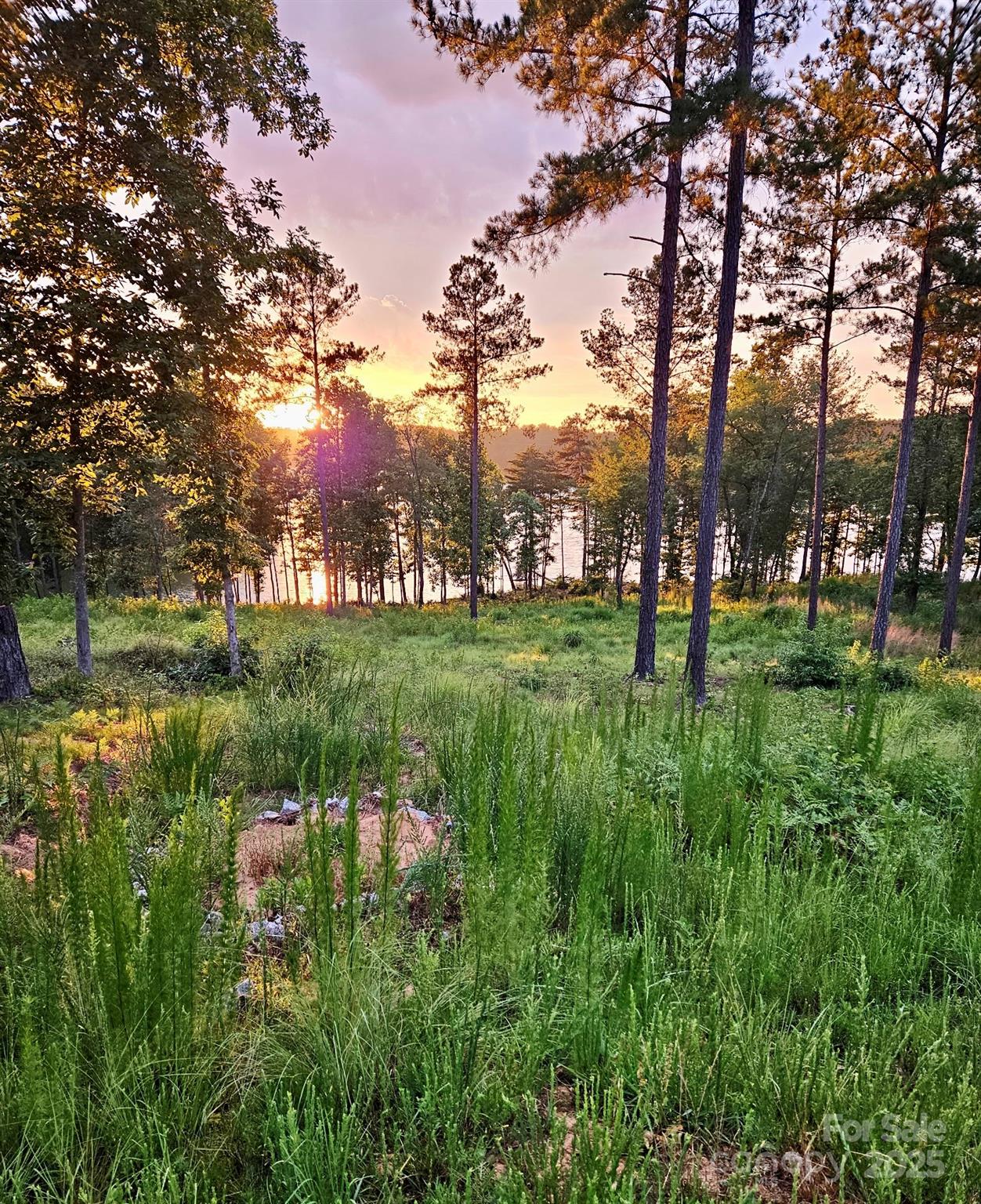 3067 Jumping Run 103