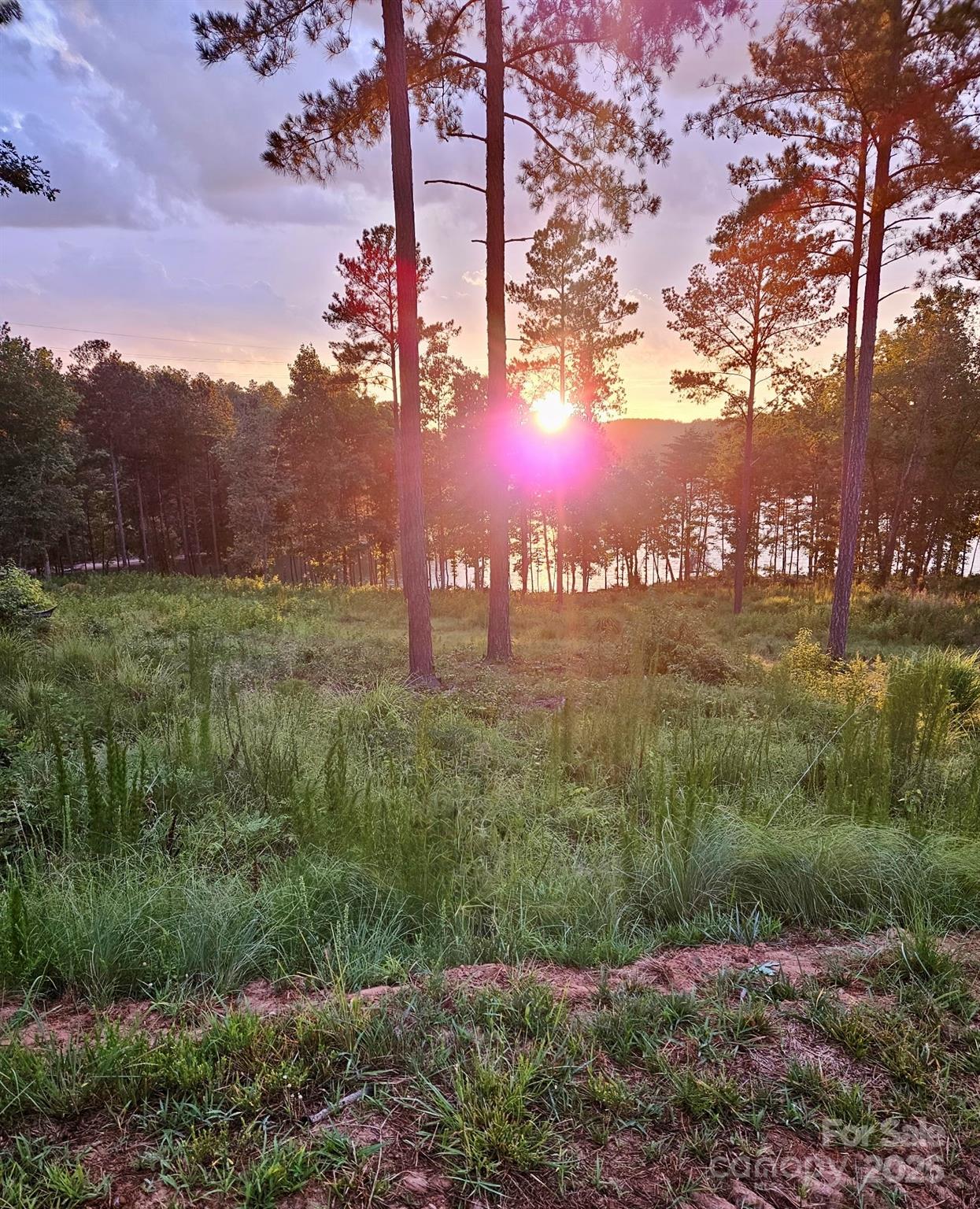 3067 Jumping Run 103