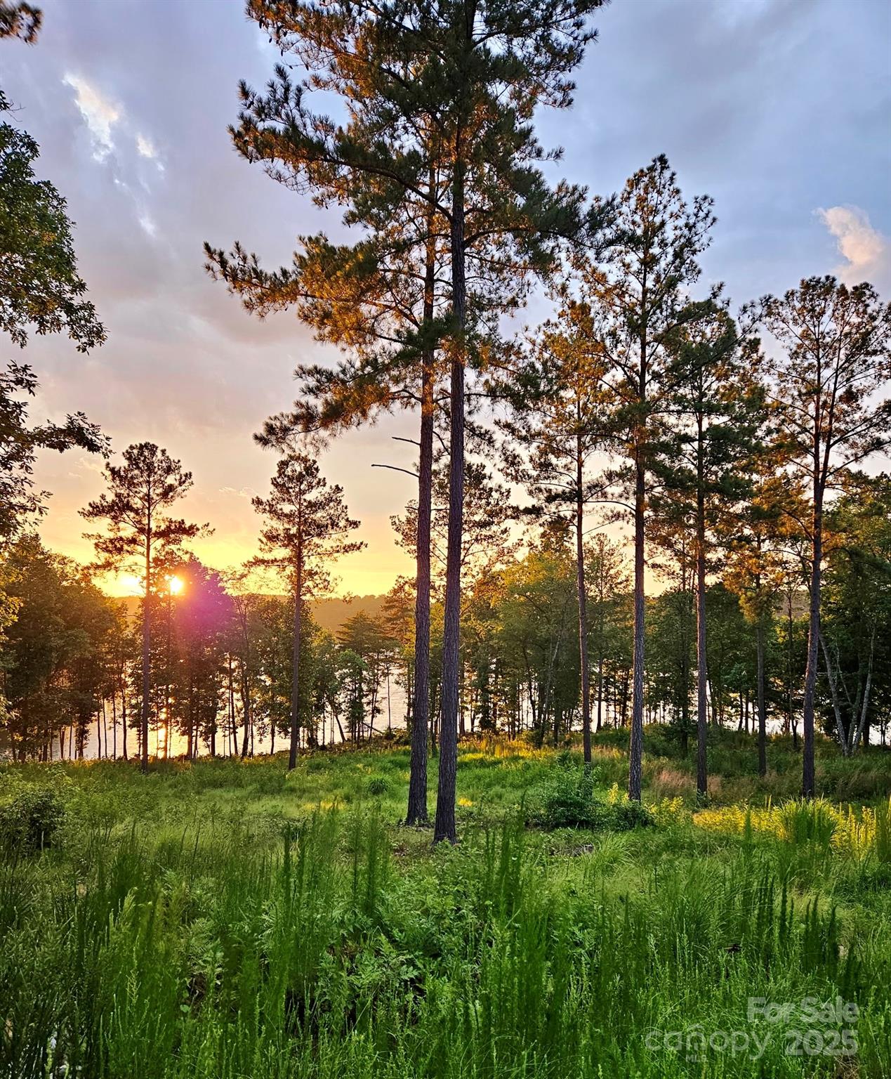 Lakeside Reserve - Land