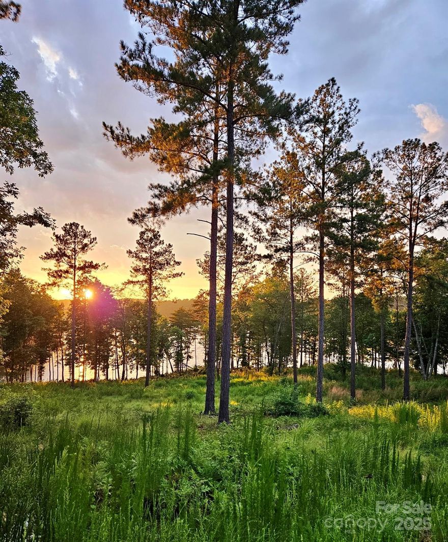 Discover the ultimate blend of luxury and nature at this stunning waterfront homesite, which offers the perfect canvas for your dream home within an exclusive gated community on the shores of Lake Rhodhiss. With a gentle slope leading to the water’s edge, you’ll enjoy breathtaking views and direct access to one of North Carolina’s most beautiful lakes. Imagine mornings spent watching the sunrise over the water, afternoons on the boat, and evenings entertaining with a backdrop of serene mountain and lake vistas. As a resident, you’ll enjoy resort-style amenities including a sparkling outdoor pool, recreation areas, walking trails, and private community spaces designed for relaxation and connection. Whether you’re planning a primary residence or a refined retreat, 3067 Jumping Run delivers the privacy, prestige, and lifestyle you deserve. Don’t just build a home—create your waterfront sanctuary.