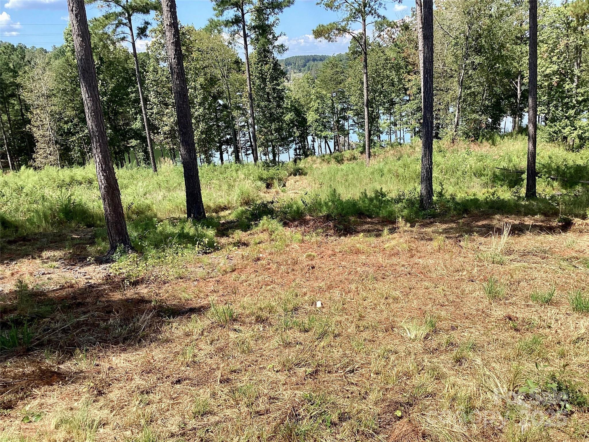 Lakeside Reserve - Land