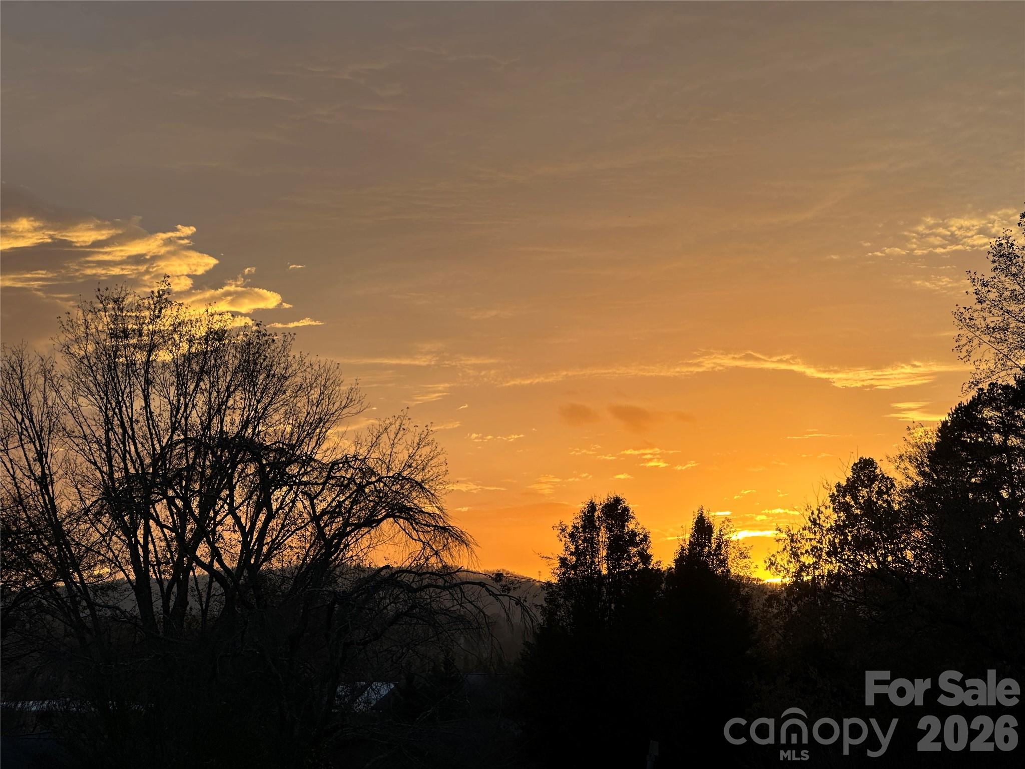 Woodland Trace - Residential