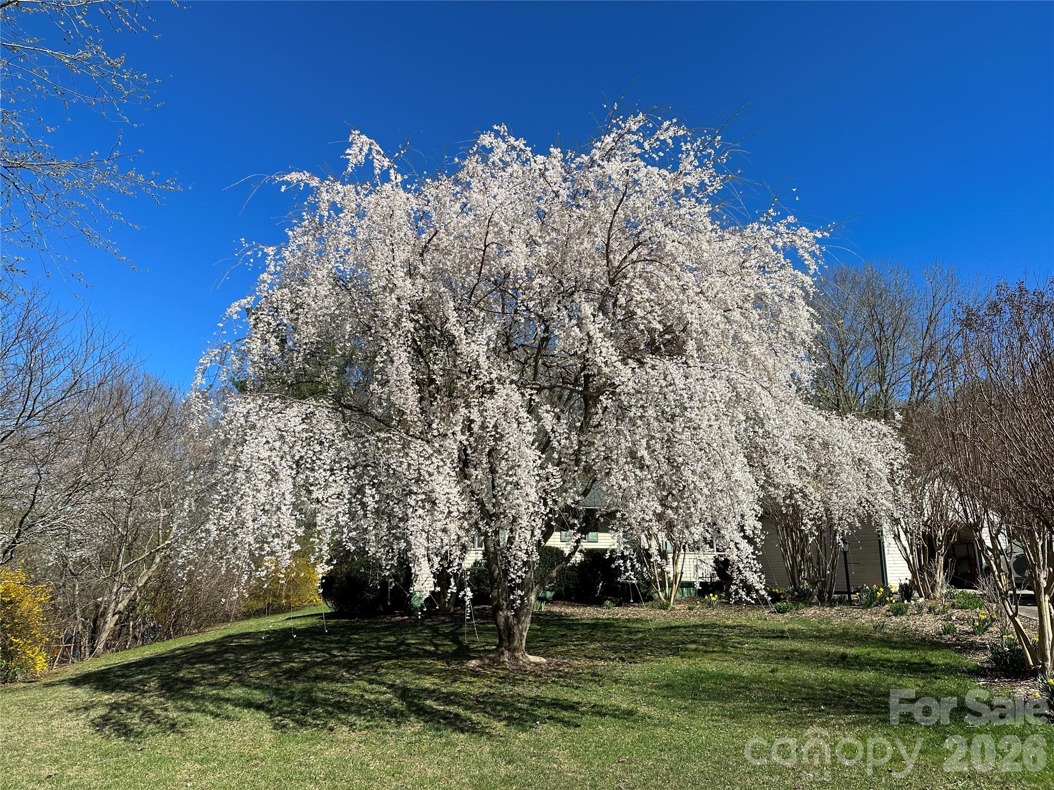 Woodland Trace - Residential