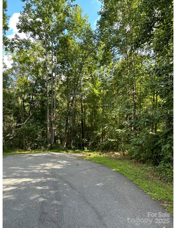 0 10th Avenue Drive SW