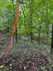 Hemphill Heights - Land