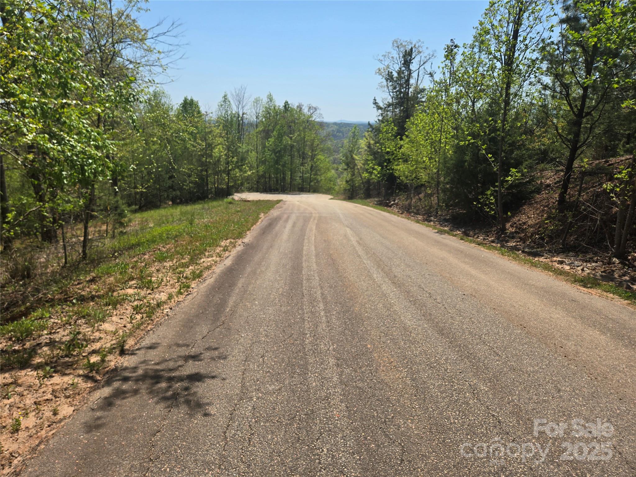 Rumbling Bald on Lake Lure - Land