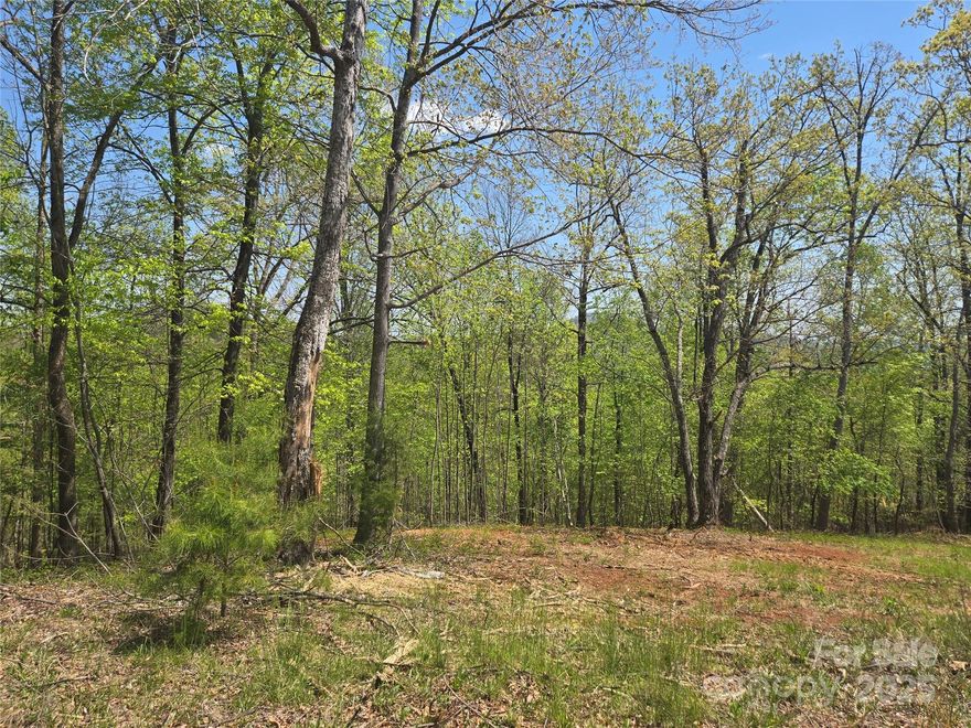 Lovely gently sloping lot with great potential for Mountain Views. This 1.6+- acre Lot is located in the Laurel Mountain Estates section of Rumbling Bald on Lake Lure.  It sits near the end of a cul-de-sac and with an almost level entrance from the paved road to the likely building spot. Underground utilities including Community Water, Power, and High-Speed Fiber Optic Internet. There are plans to add an attractive security gate to this neighborhood sometime in the future for additional privacy.  Land for a community park is in the planning stages as well. The community cart path passes through this neighborhood and provides access to the main gate via connecting paths. A rare option for anyone looking for Lot with views and private building site while also enjoying all the amenities Rumbling Bald has to offer including two Championship Golf Courses, three pools, Wellness Center, Spa and Salon, Beach, and much, much, more.