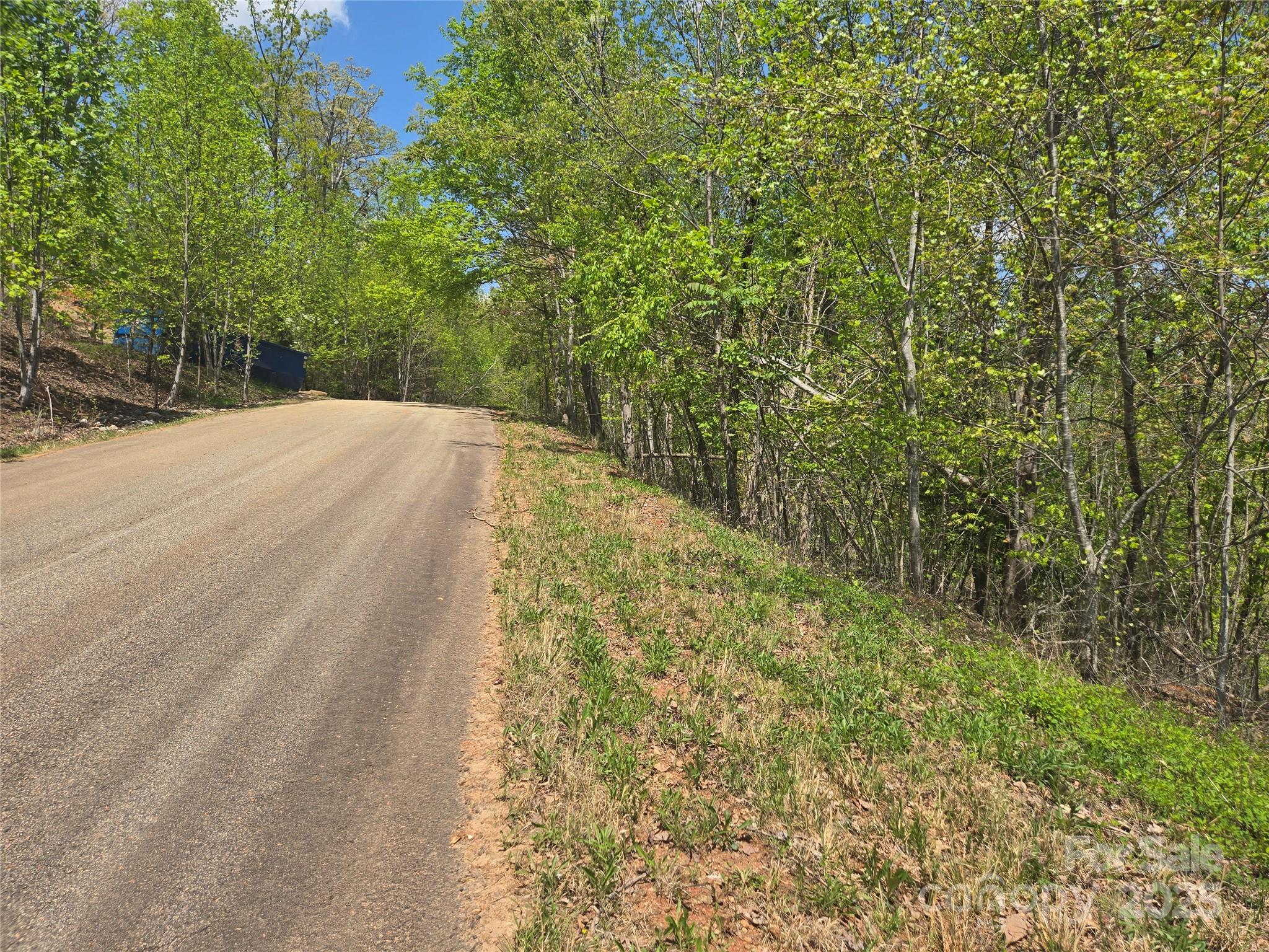 Rumbling Bald on Lake Lure - Land
