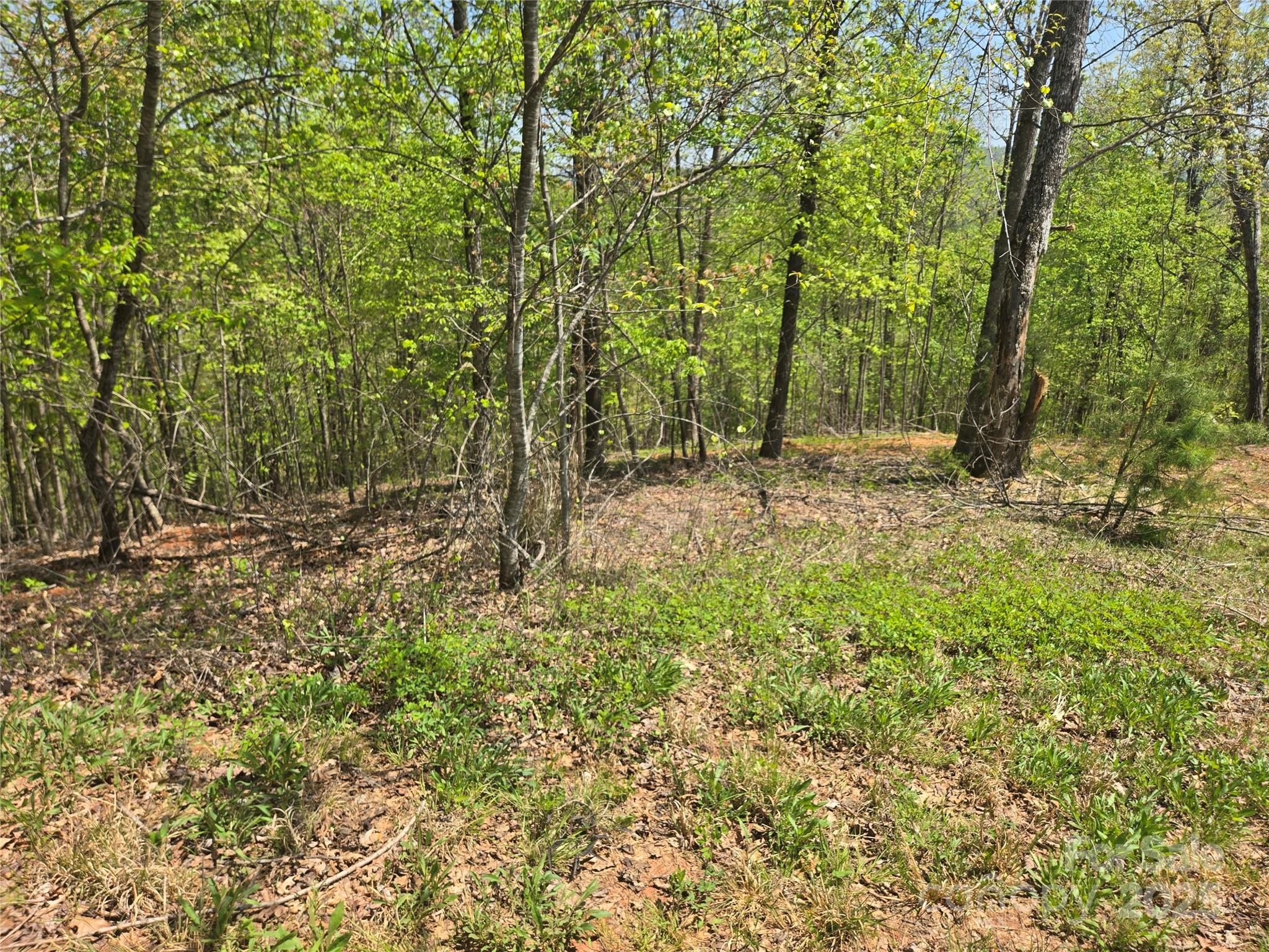 Lot 23 High Rock Ridge