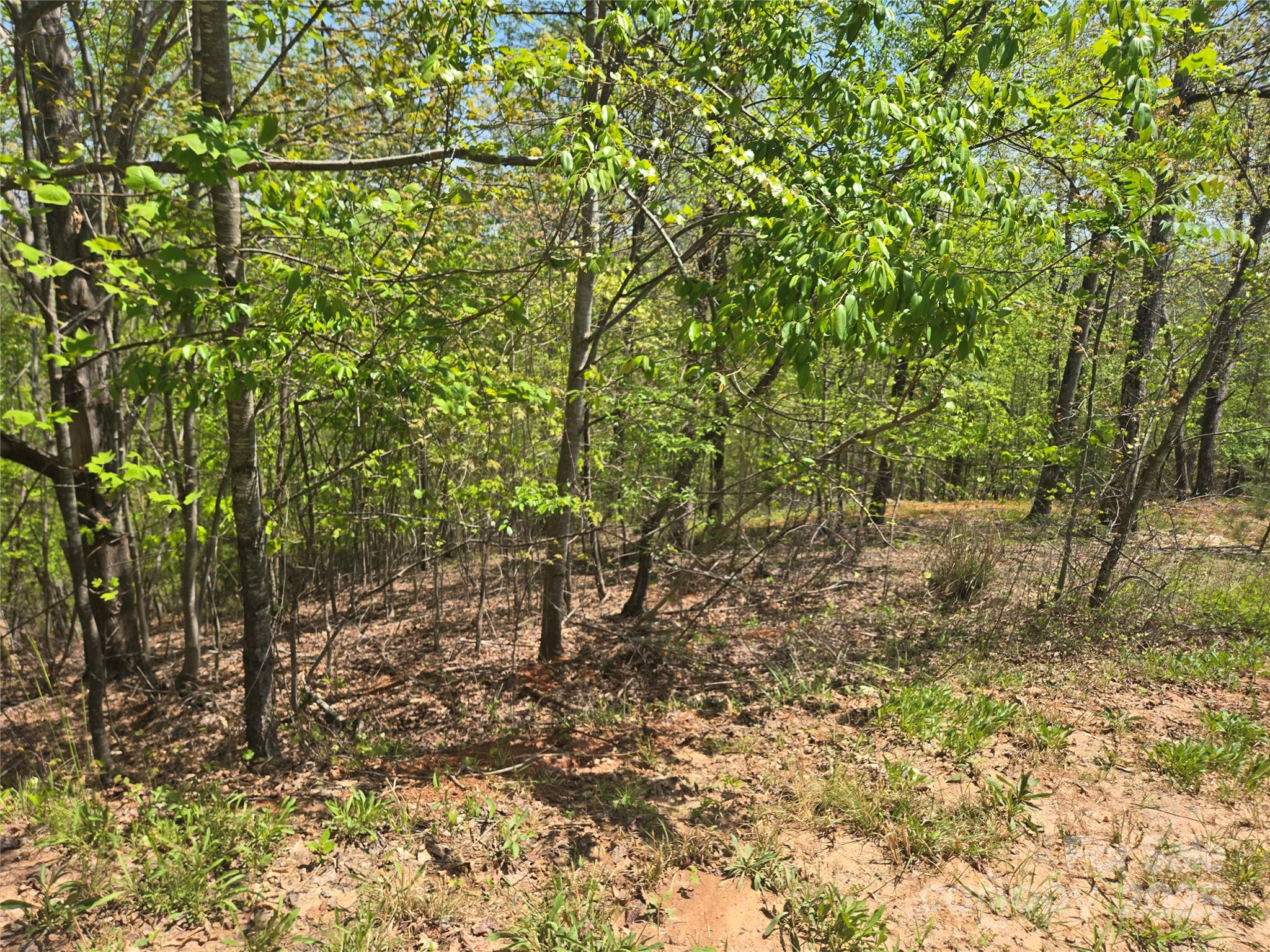 Lot 23 High Rock Ridge