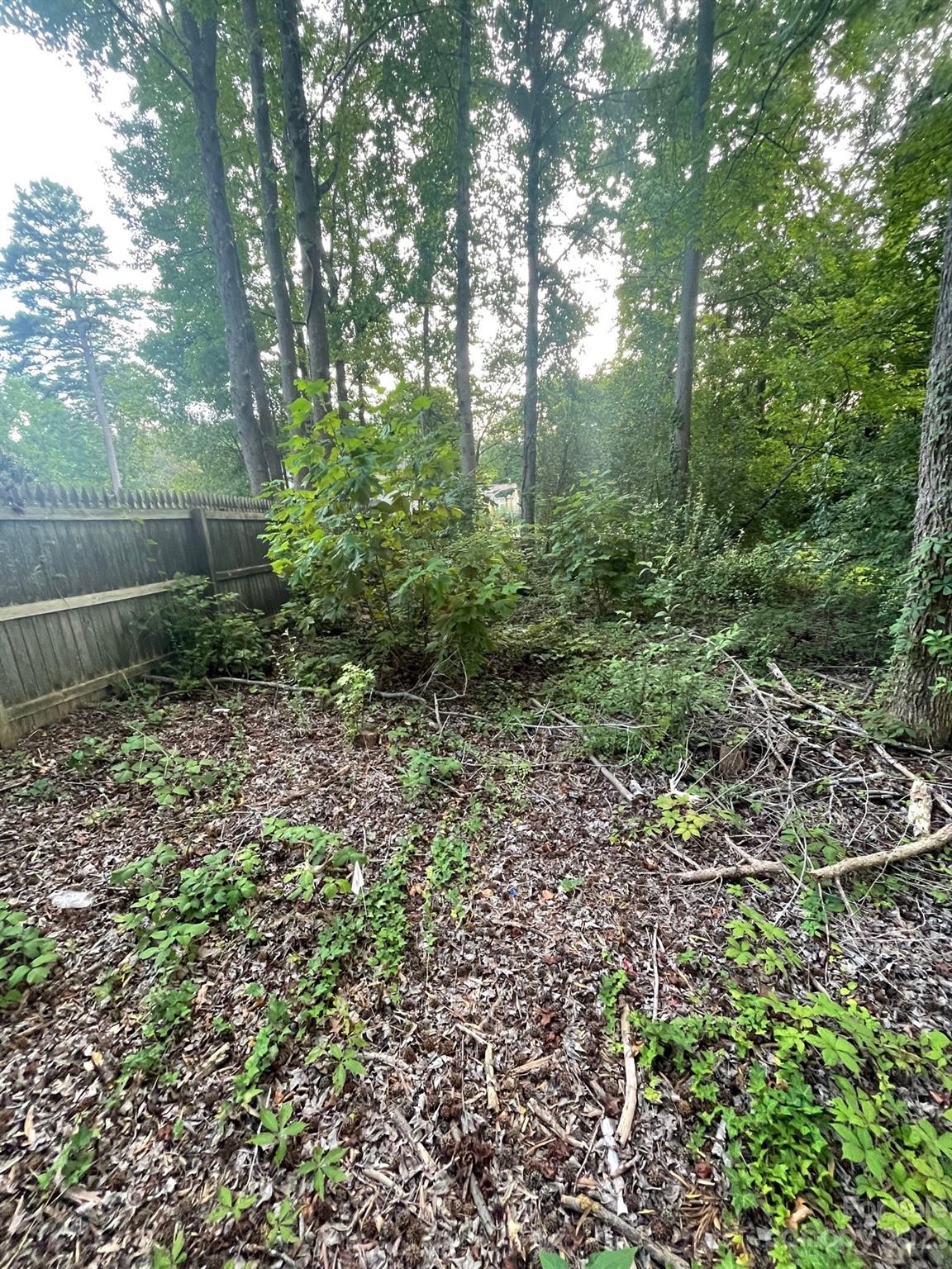 Hickory Grove - Land