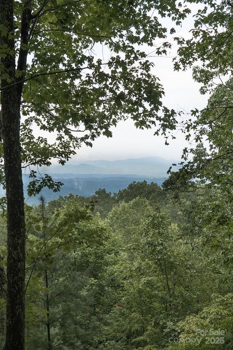 0 S Running Deer Trail 79 Horse Shoe NC 28742