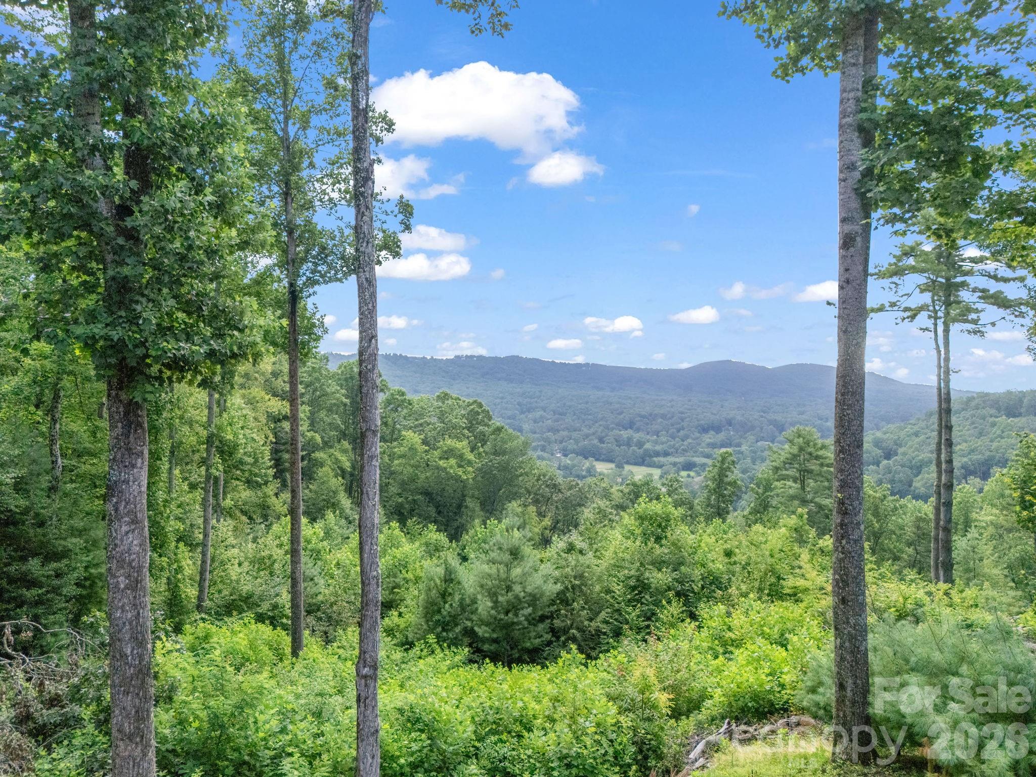 TBD Davenport Hills Road