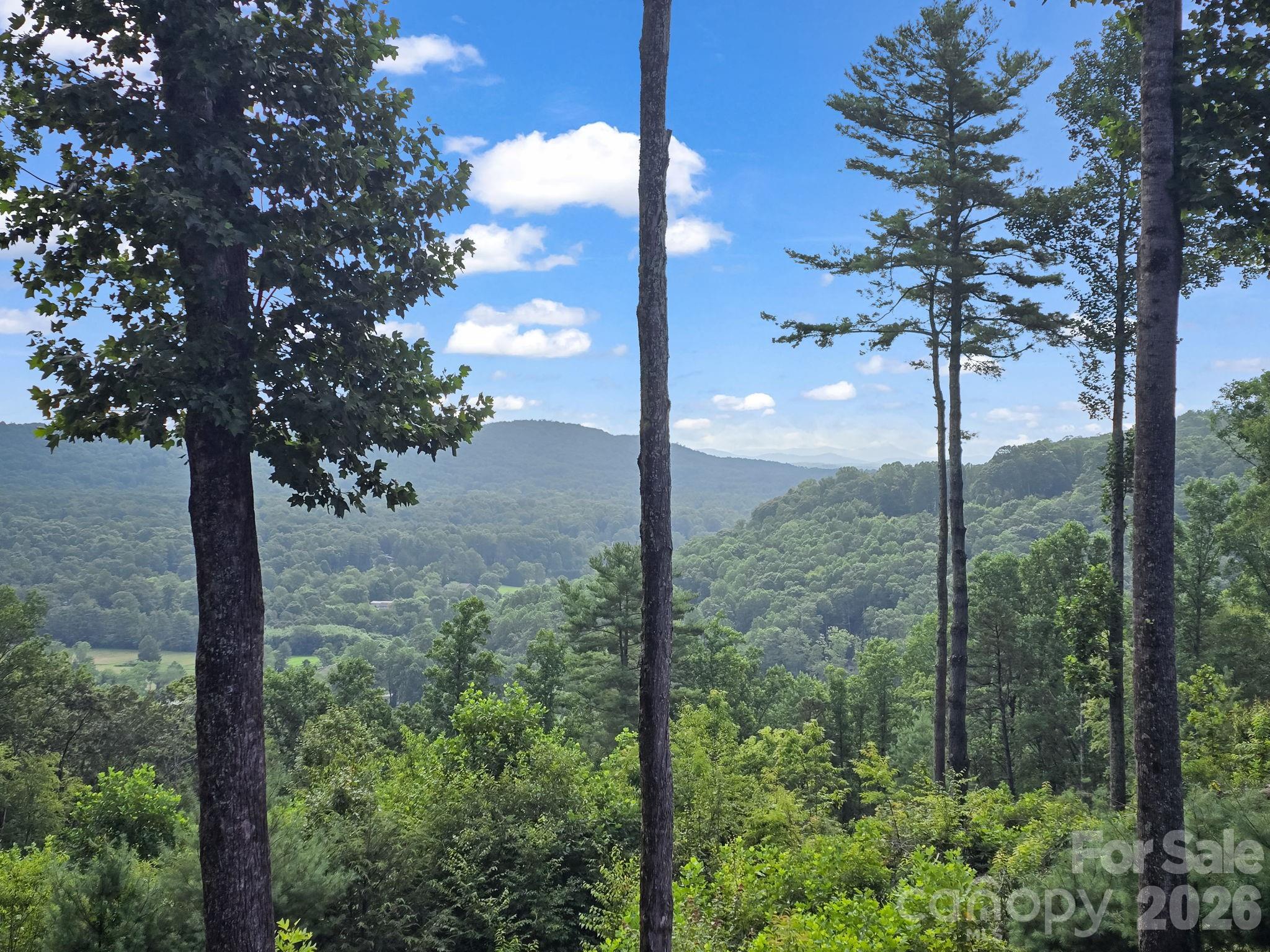 TBD Davenport Hills Road