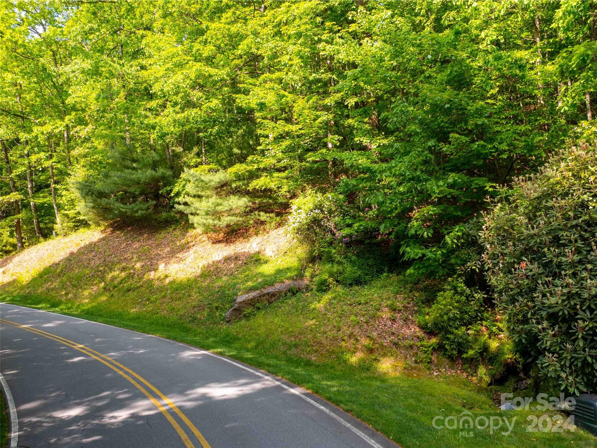 166 Chattooga Run 293