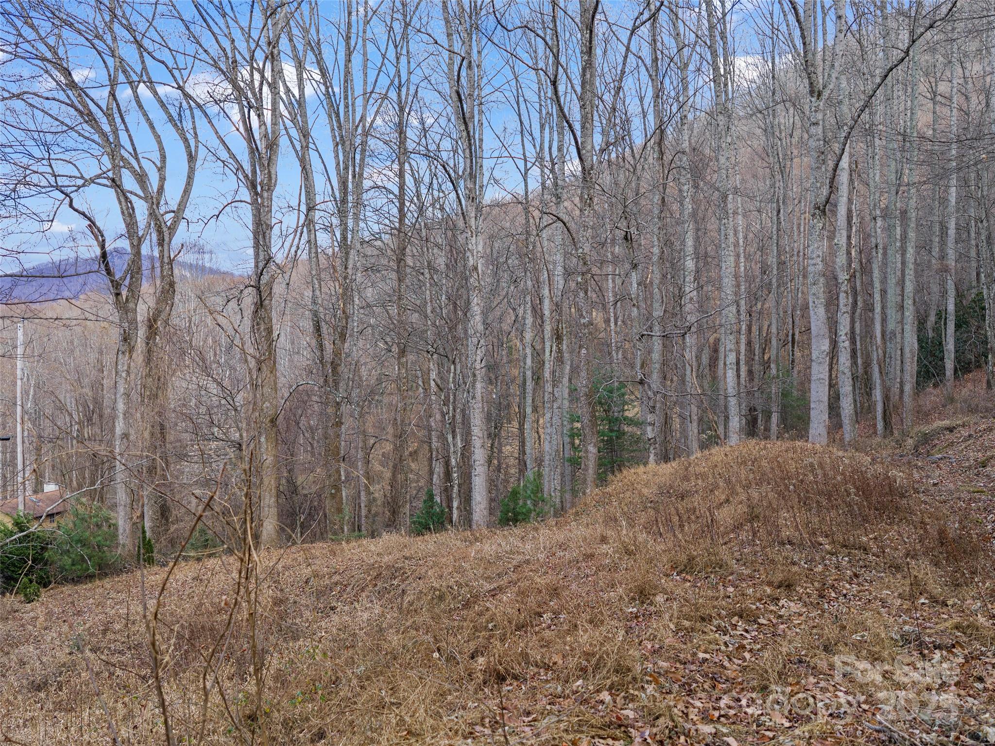 99999 Flora Rose Trail