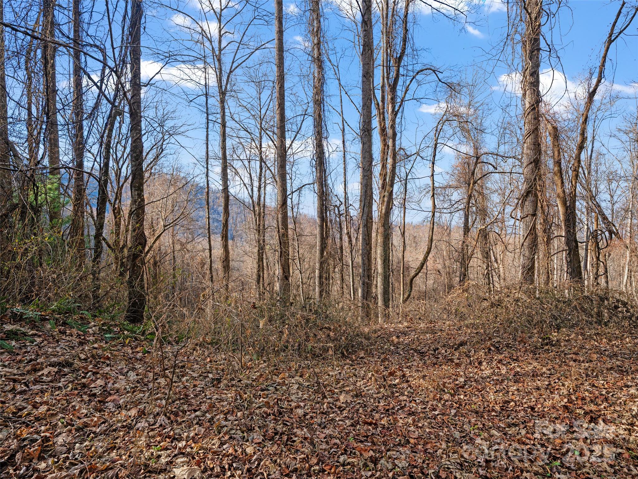 99999 Flora Rose Trail