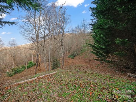 Photo of 99999 Flora Rose Trail, Asheville, NC 28803 (MLS # 4329696)