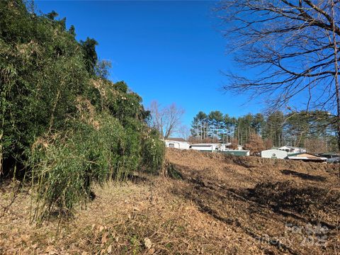 73 Trailing Vine Lane East Flat Rock NC 28726