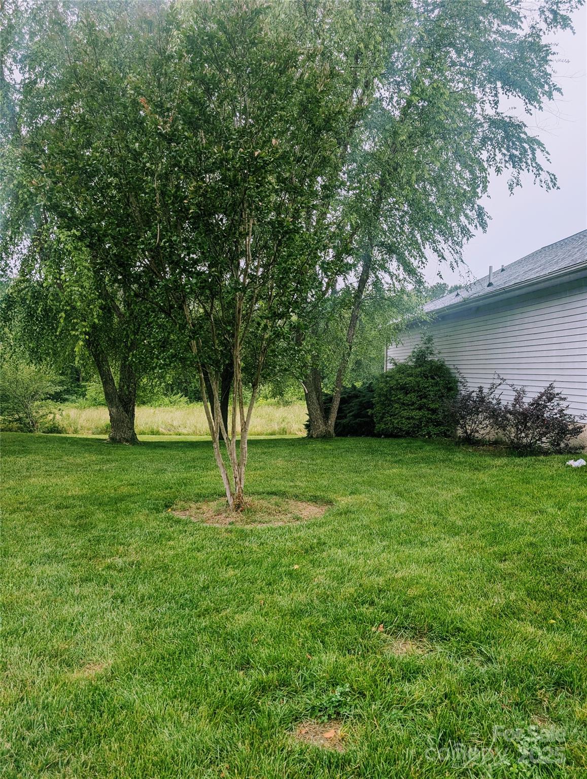 158 Clear Creekside Drive