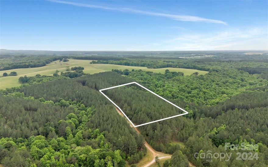 Check out this 10.29-acre lot in a quiet HOA community right next to the Broad River. It's a great spot if you're looking to build a home with privacy but still enjoy community perks like a picnic area and a kayak launch—perfect for weekend activities. If you’re into the outdoors and looking for a place where you can design your own home, this is the place! It’s all the space you need to create something great, in a community that values nature and neighborliness.