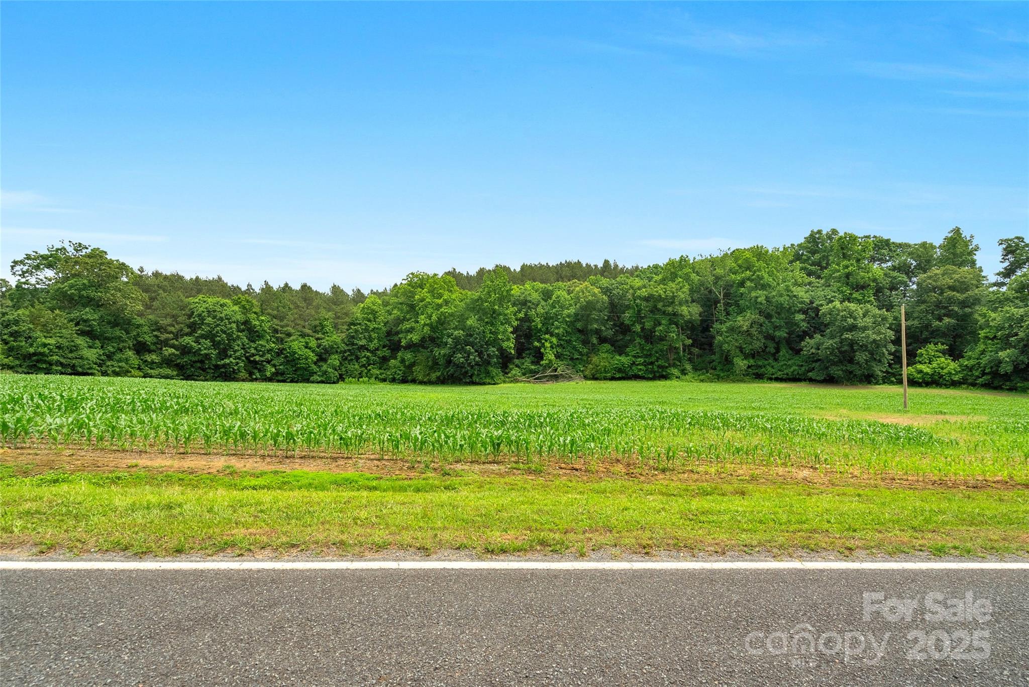 0000 Lucy Short Cut Road 5