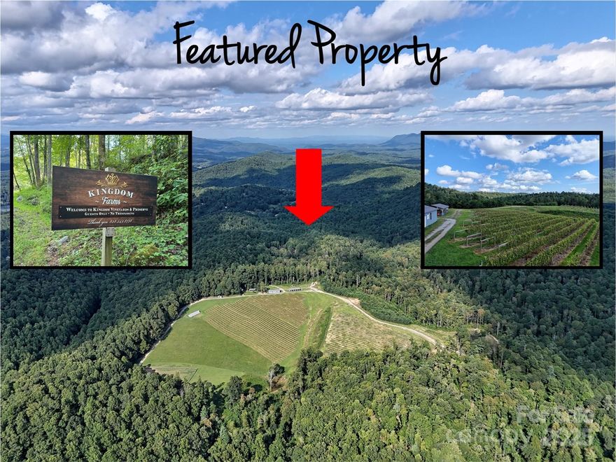 Incredible opportunity to own 129± acres of beautiful, gently rolling land, including nearly 20 acres of mature, professionally cultivated grapevines—managed by the 2019 NC Grape Grower of the Year. This well-appointed property features excellent infrastructure, including established gravel roadways, underground power, multiple outbuildings, and a 1,200 sq. ft. greenhouse, making it ideal for those seeking to expand into viticulture, agribusiness, or private estate living.
A 1-bedroom, 1-bath hand-hewn log cabin sits overlooking the vineyard, offering scenic views and rustic charm—perfect for a private getaway, short-term rental, or potential tasting room. The property also borders the 500-mile Palmetto Trail, offering direct access to hiking and biking tourism opportunities. Plus, you’re just a short drive to Greenville, SC—adding convenience, dining, and year-round attractions to this truly unique setting.
Steeped in history, Kingdom Farms was founded by freed slaves after the Civil War and is one of only two recognized “kingdoms” in U.S. history—offering both historic and cultural value. Whether you're a winemaker, investor, or seeking a legacy property with income potential, Kingdom Farms is a rare find with all the elements in place for your vision to thrive.