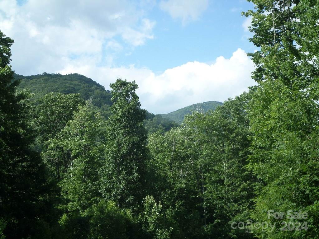 100 Tenderfoot Trail 100 & 101