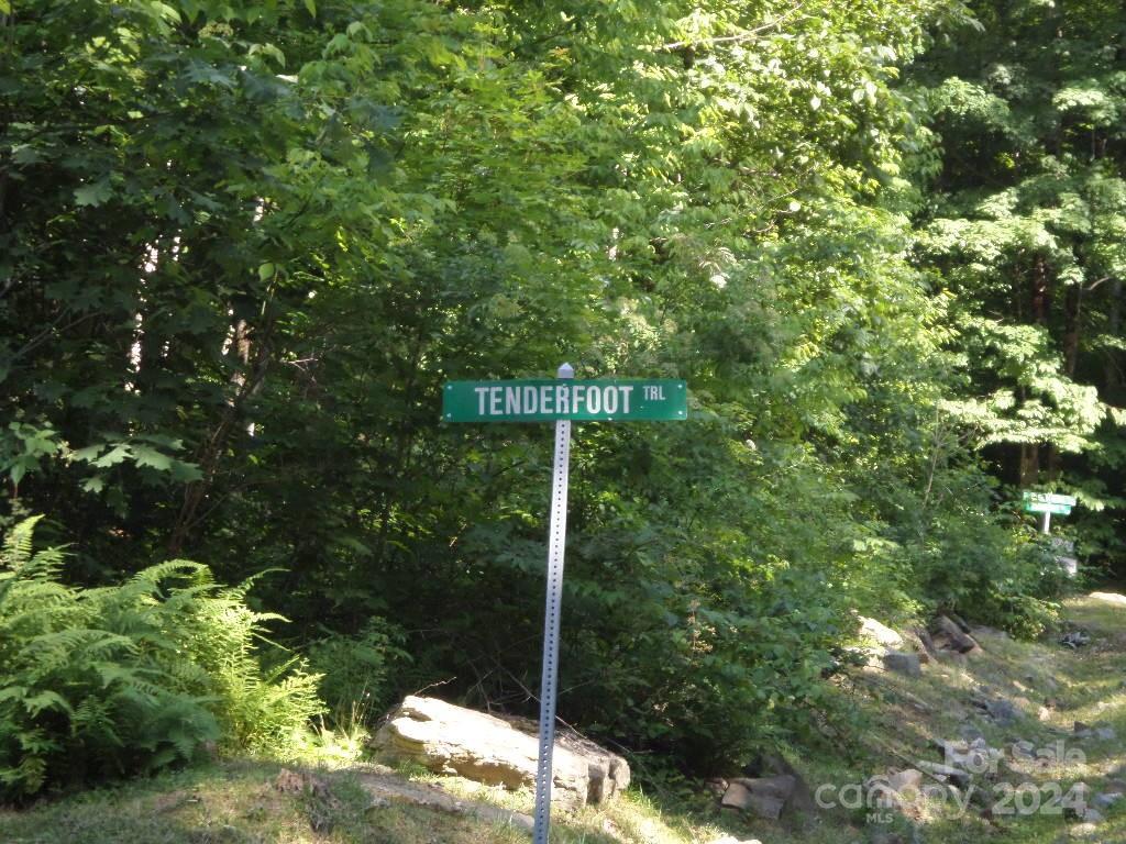 100 Tenderfoot Trail 100 & 101