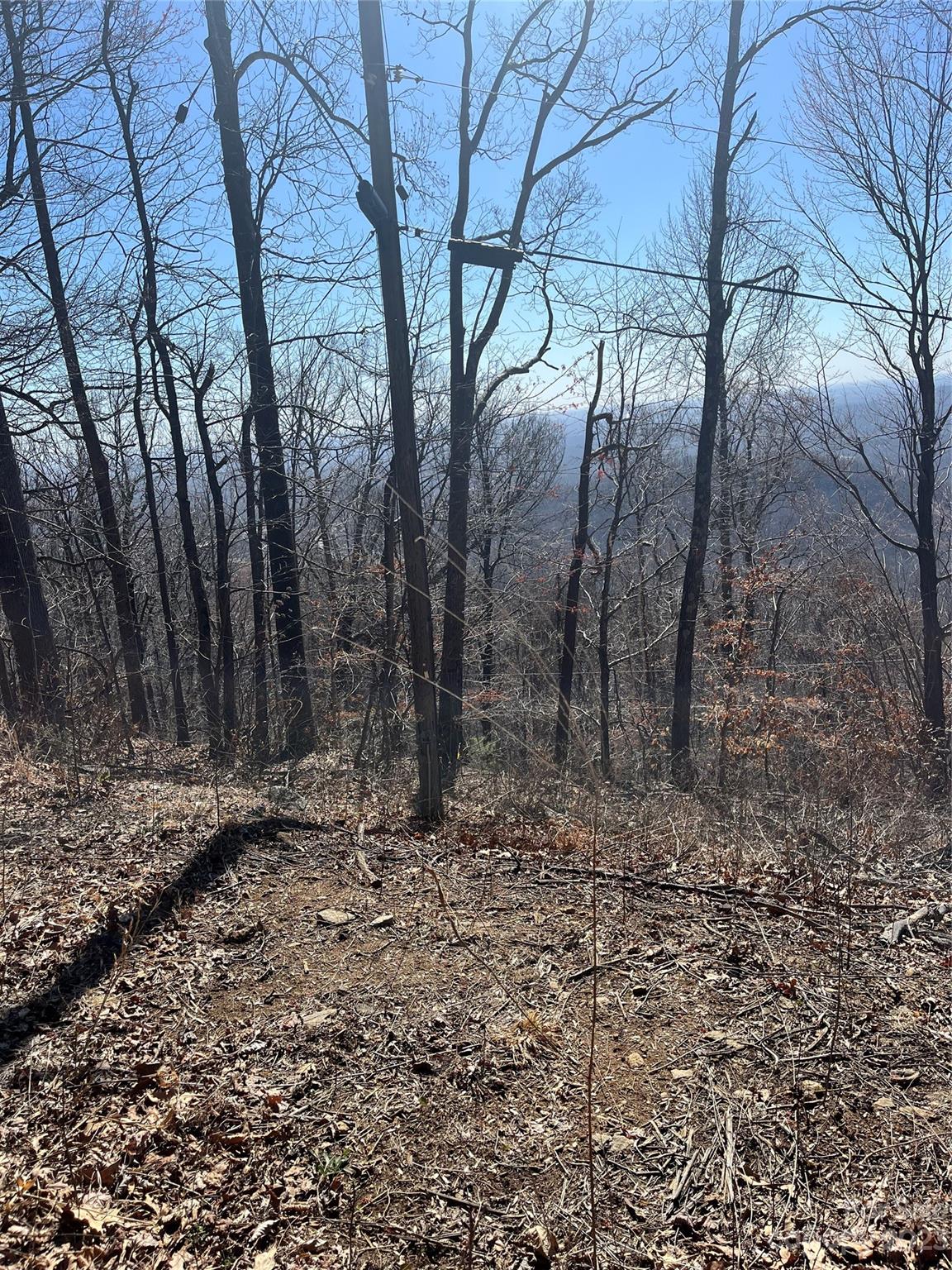 999 Skyuka Mountain Road Portion of Lot 9