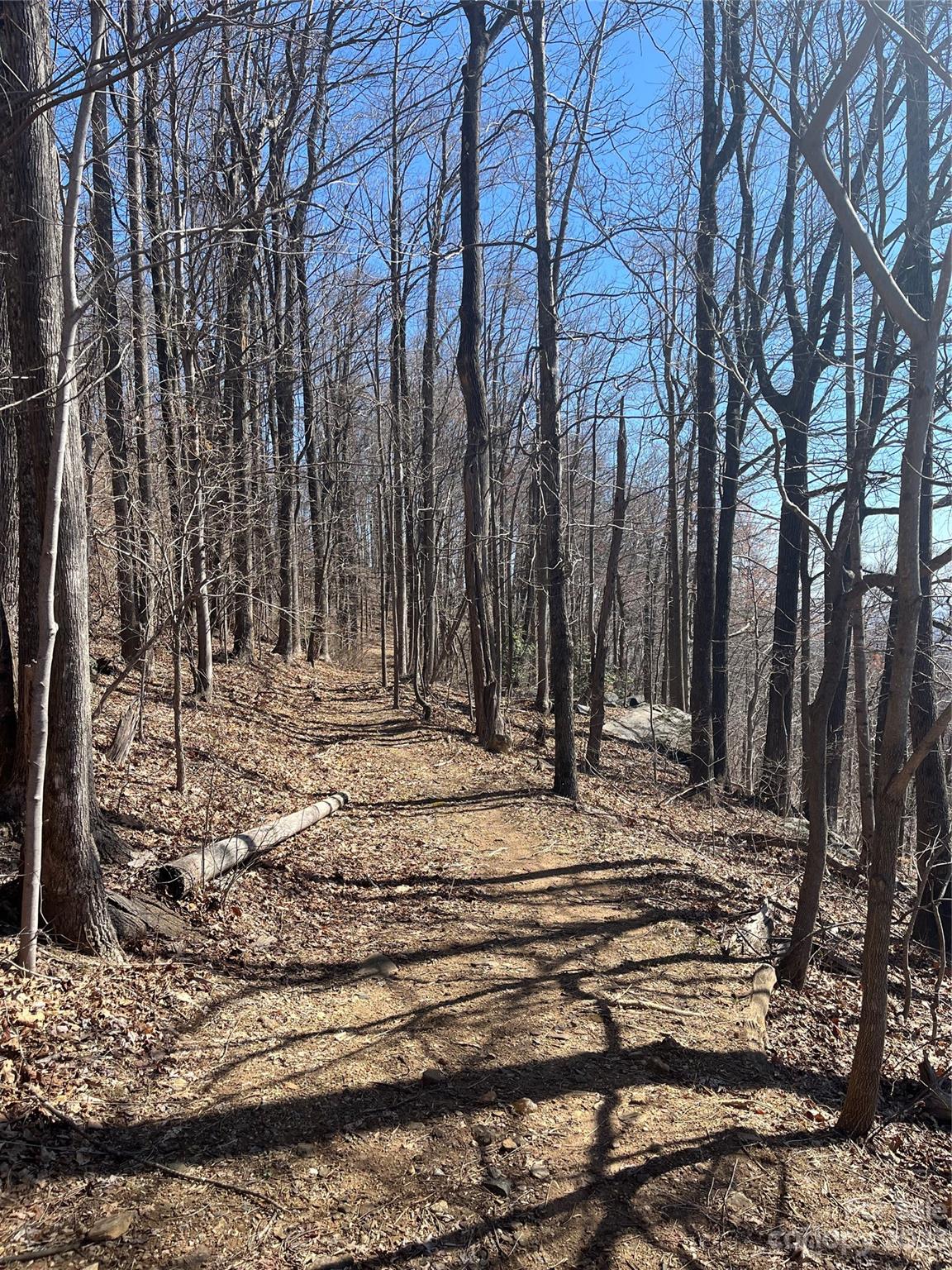 999 Skyuka Mountain Road Portion of Lot 9