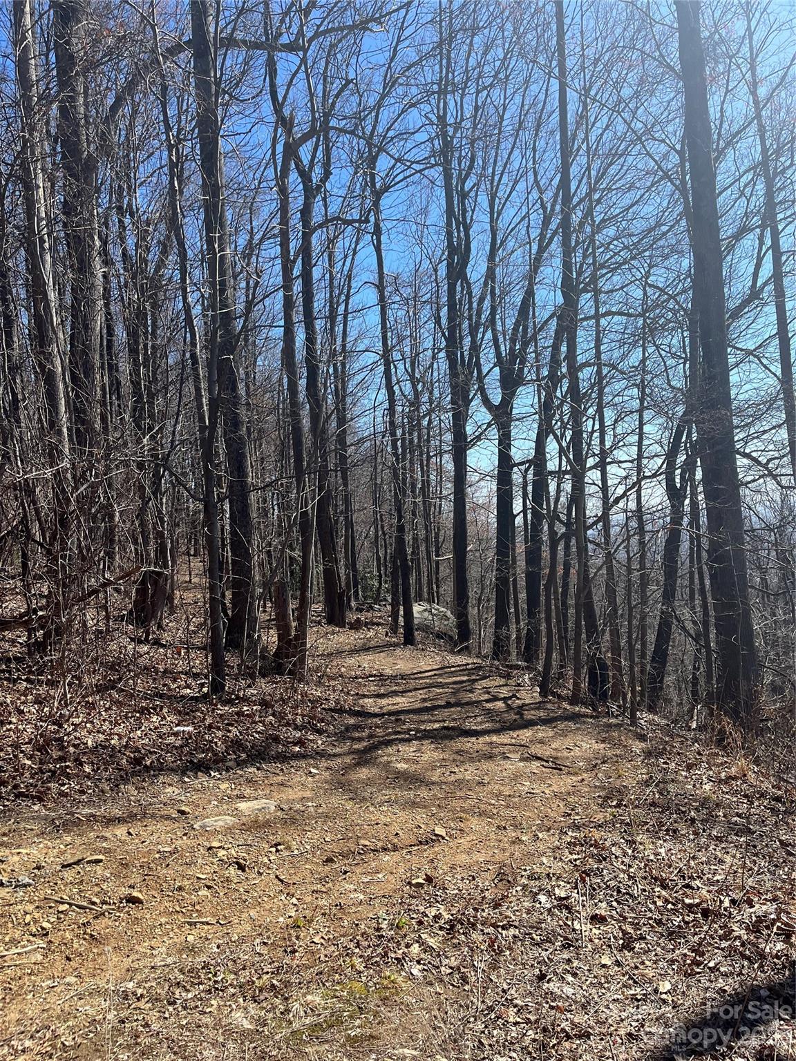 999 Skyuka Mountain Road Portion of Lot 9
