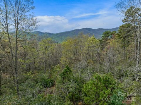 92 Smokey Ridge Trail Arden NC 28704