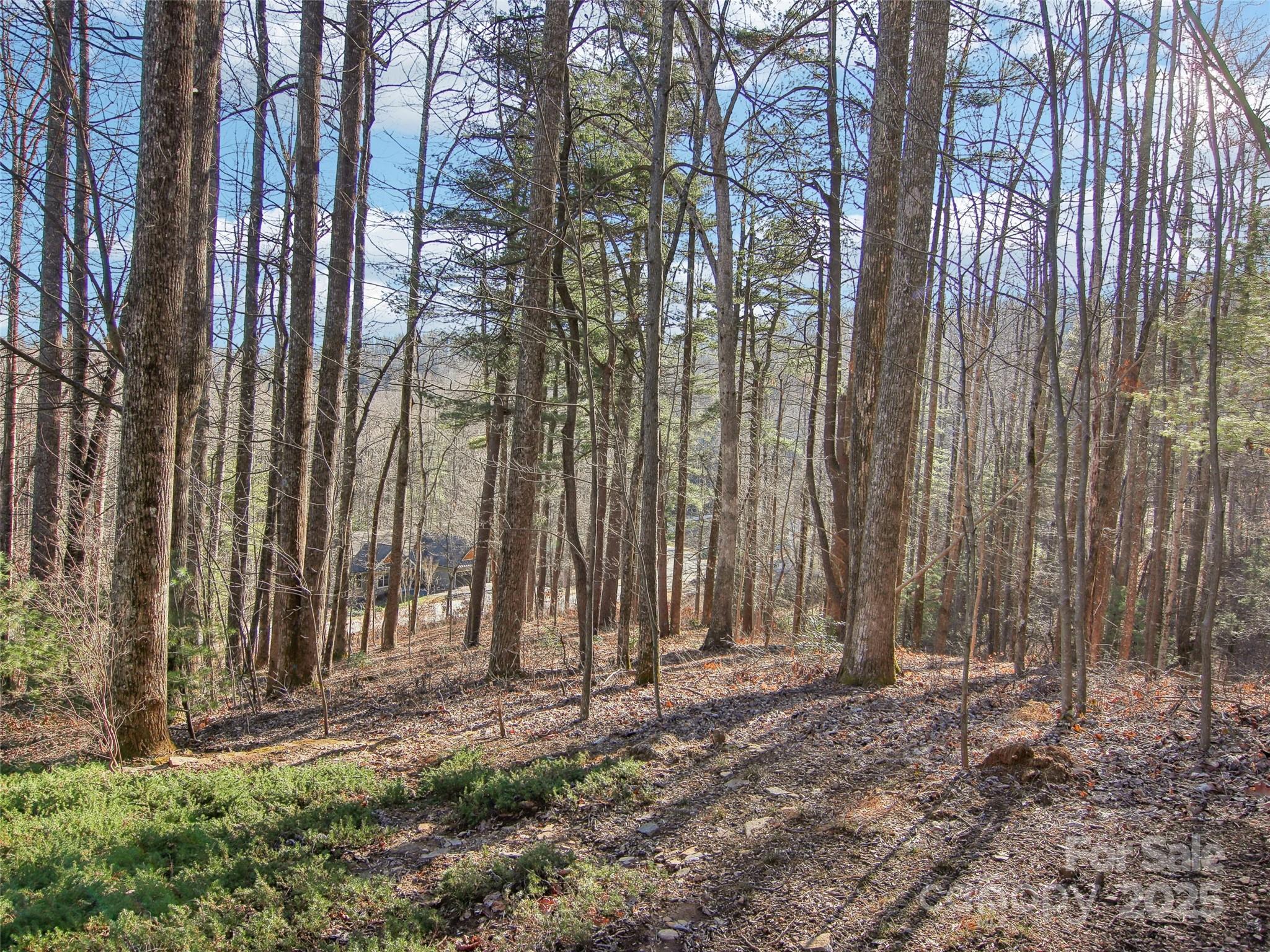Cobblestone Village - Residential