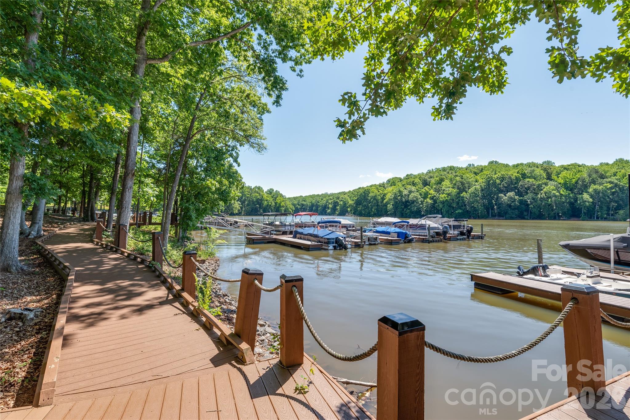 The Vineyards on Lake Wylie - Residential