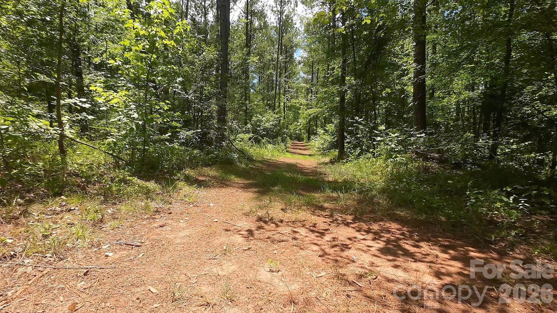 15+/- AC Lot 2 Parson Road
