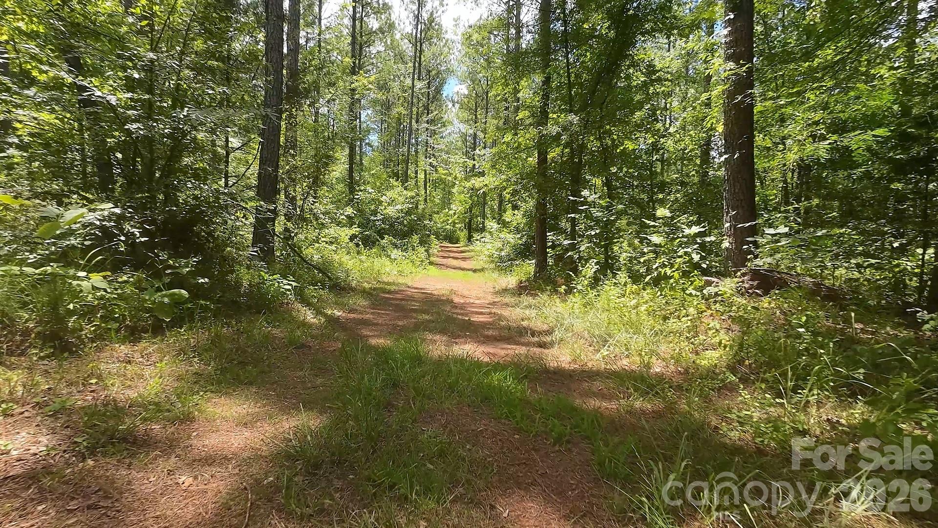 15+/- AC Lot 2 Parson Road