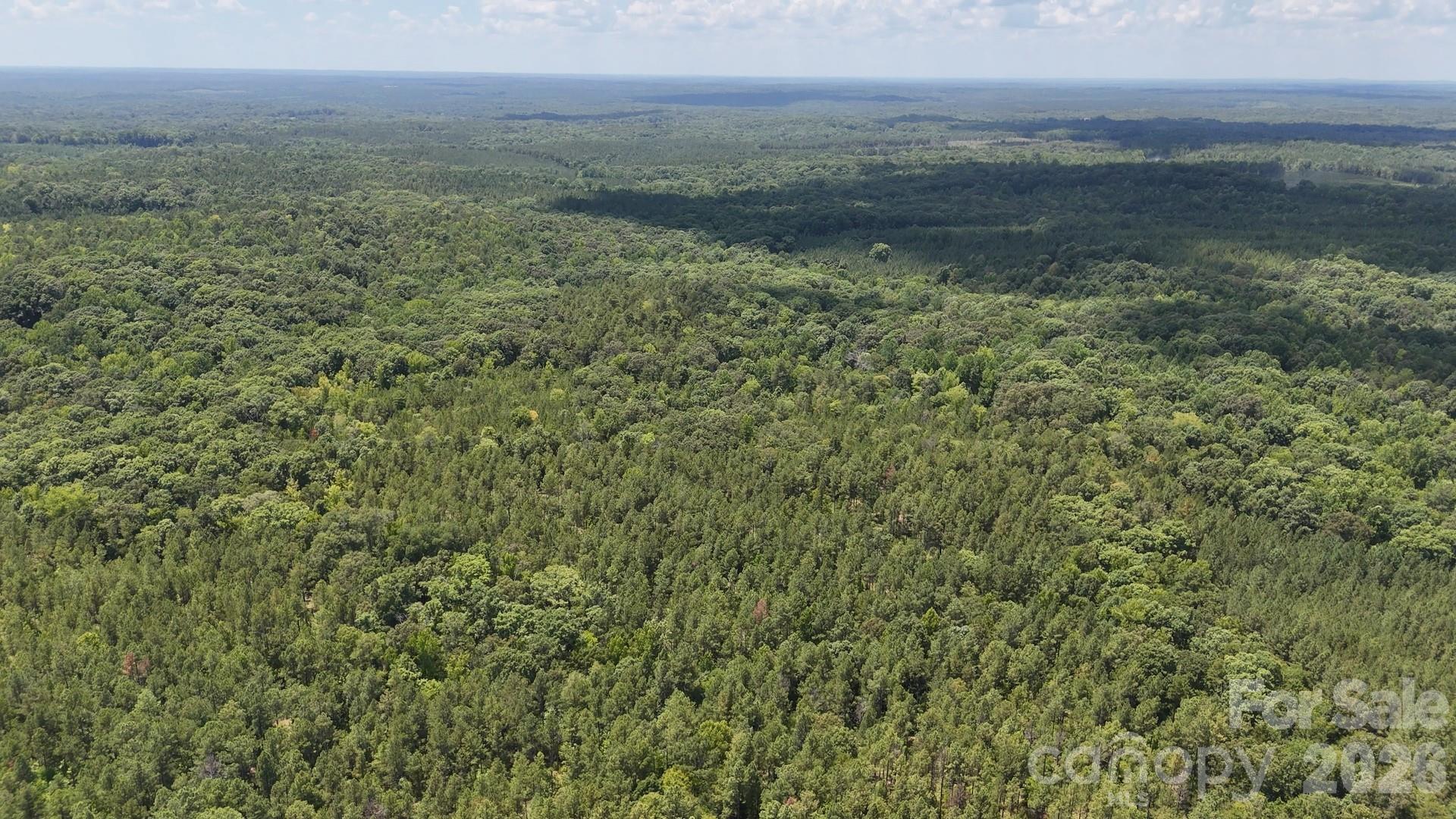 15+/- AC Lot 2 Parson Road