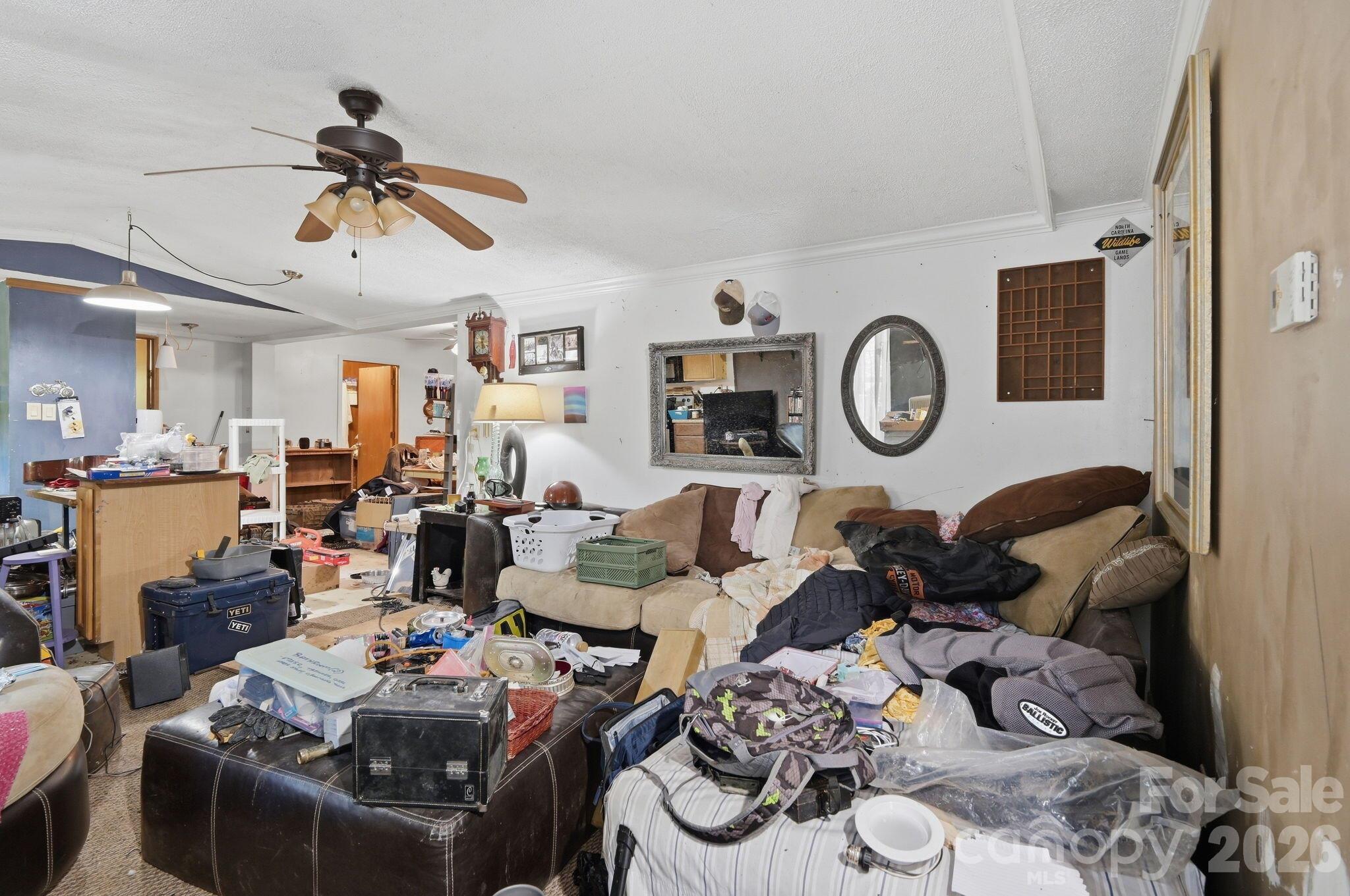 255 Dusty Lane