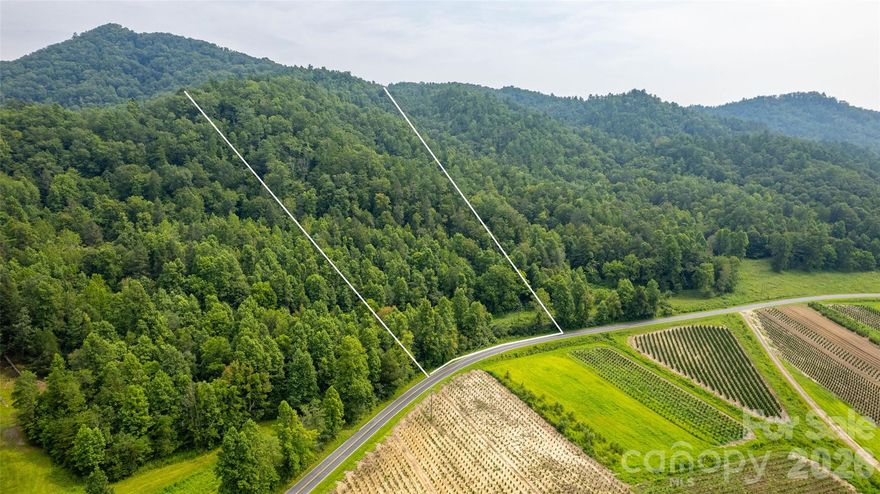 Back on the market at new low price! Lot 16 out of 20 recently surveyed parcels. 14.83 UNRESTRICTED acres of natural beauty conveniently located 15 miles from Downtown Blowing Rock and all of it's amenities! Off the paved state Hwy 90, this parcel has multiple, easy build sites. With its mountain views and tranquil atmosphere, this property offers the perfect escape from city life. Embrace the chance to create your own haven amidst the natural splendor of this property. This hidden gem is a true sanctuary, offering a retreat from the digital world allowing you to fully disconnect and enjoy the serenity of your surroundings. Property lines are marked. 13 miles from Brown Mountain OHV 34 mile trail system! The only OHV area in Pisgah National Forest. Call listing agent before driving to property for more information. Spectrum cable available! Recent road improvements!