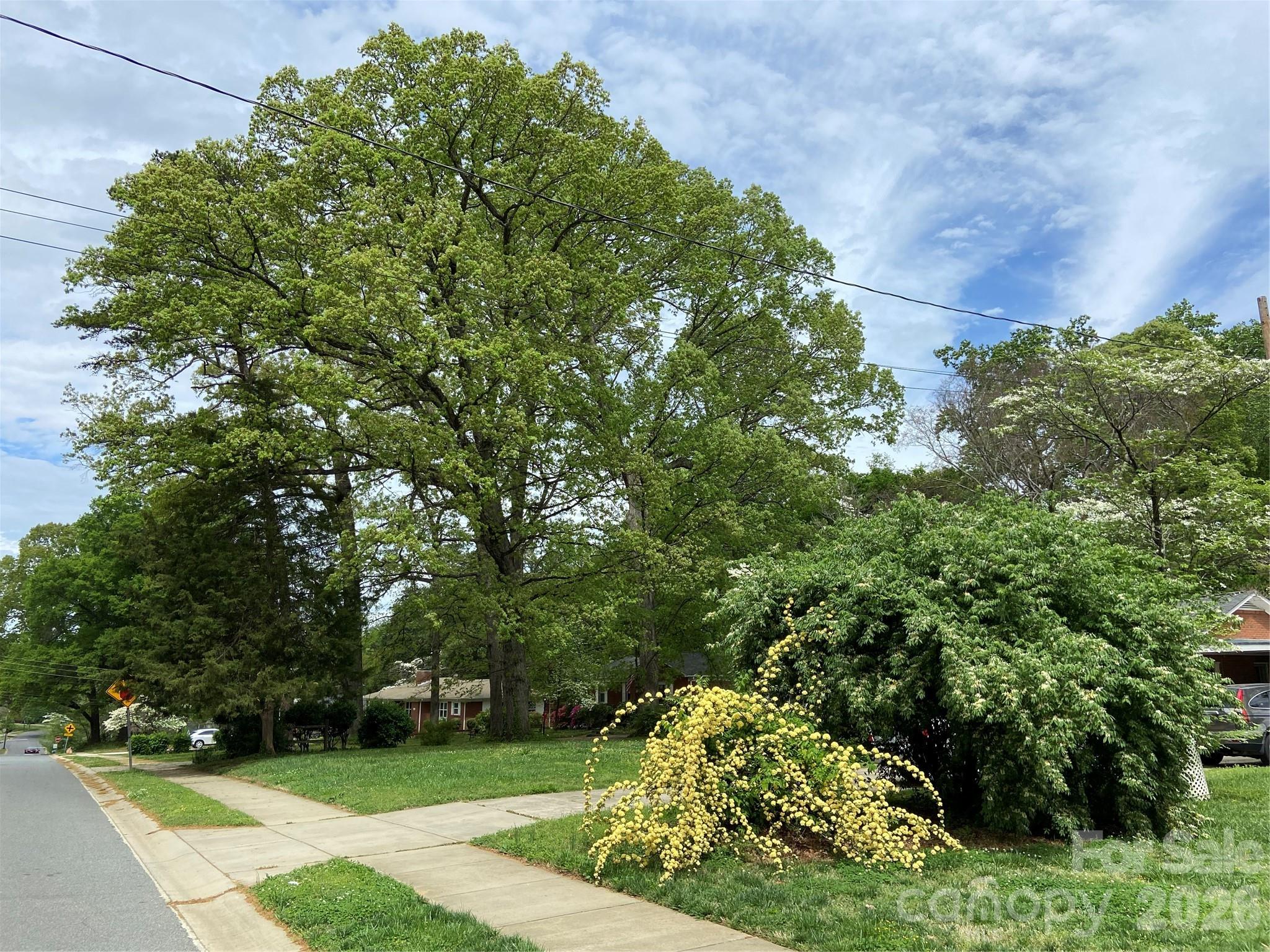 Sheffield Park - Residential