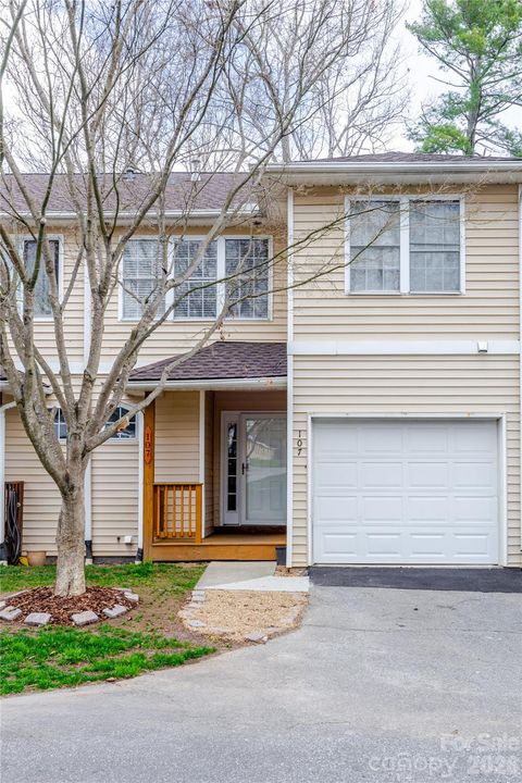 107 Farm Lane Mills River NC 28759