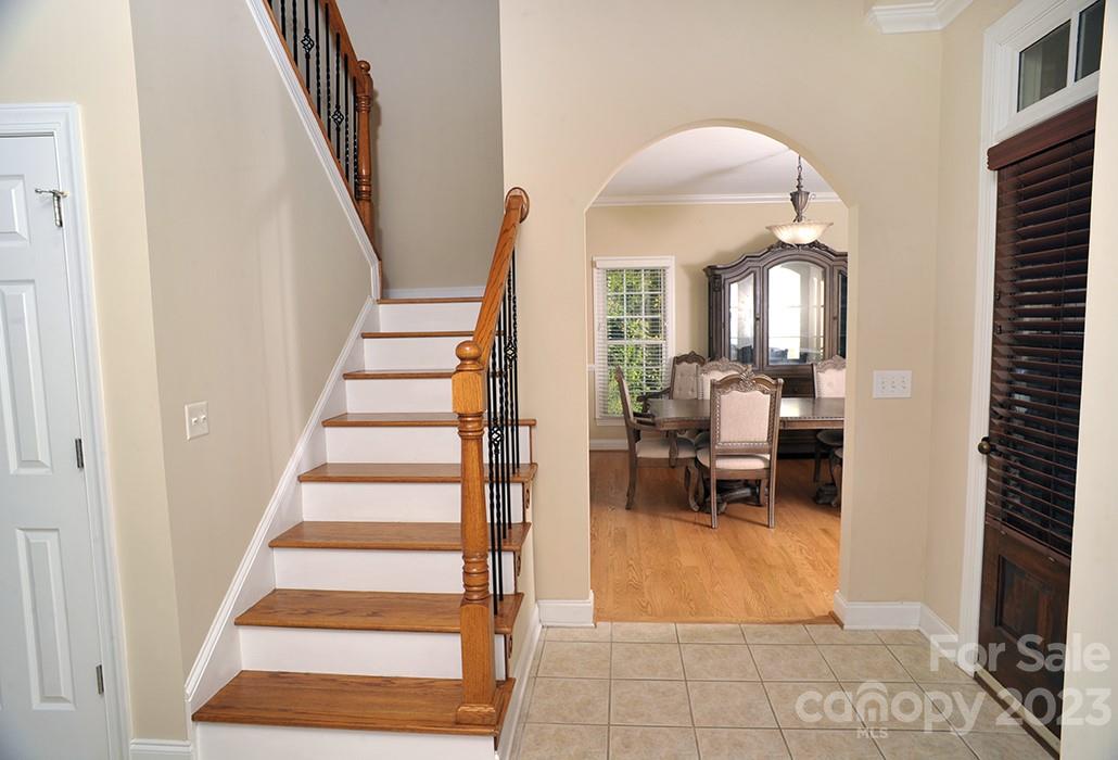 Balfour Springs - Residential