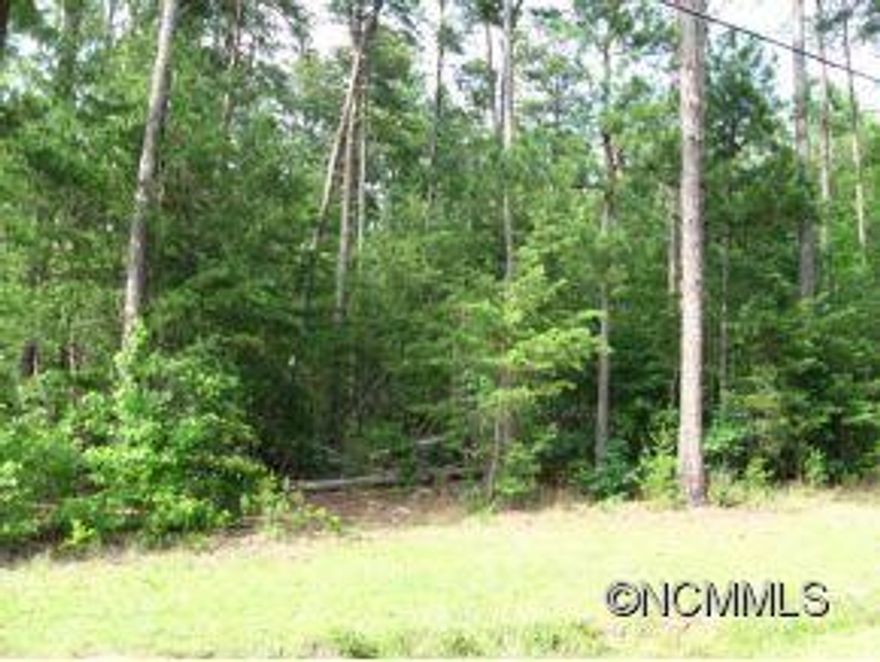 2.99 acres just outside the city limits.  Land is level with beautiful mountain views. Could be subdivided.  Convenient location in well desired area.  Easy access to Hendersonville, Greenville, or Spartanburg. Adjoins MLS #489759.Owner is a Real Estate Broker.