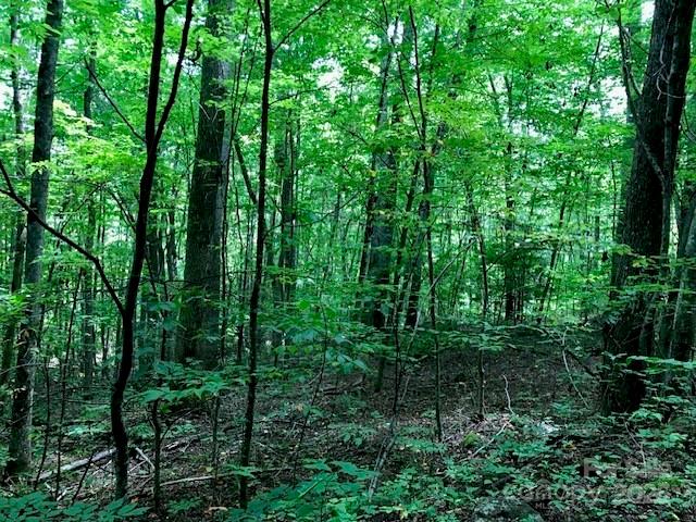 Wildwood Acres - Land