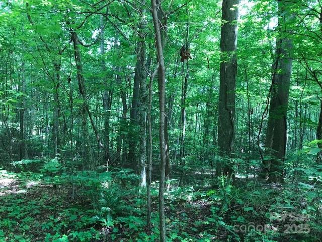 Wildwood Acres - Land