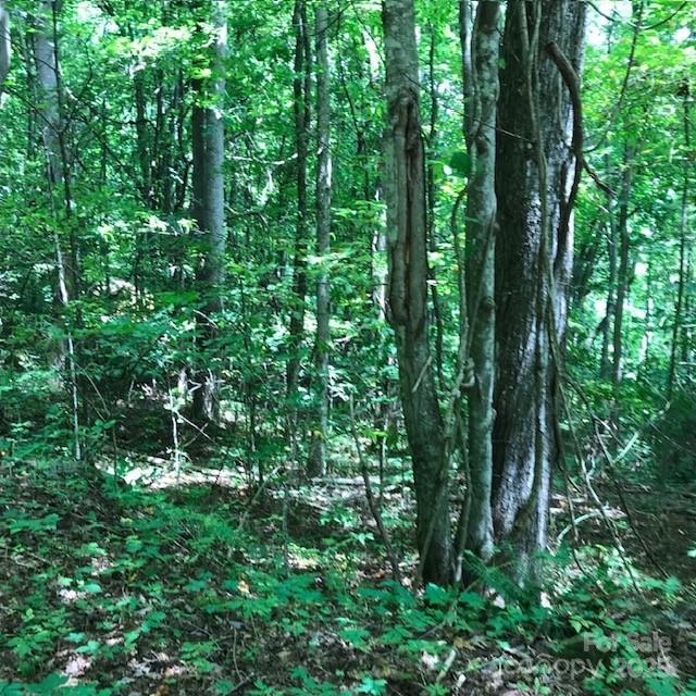 Wildwood Acres - Land